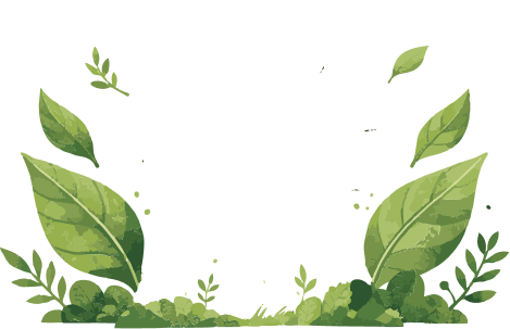 Green — Sostenibilità